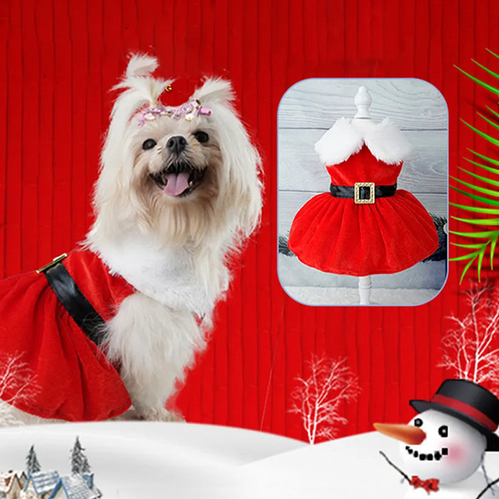 Dog Santa Claus outfit